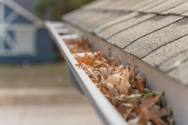 Leaf Barrier Installation in Lewes