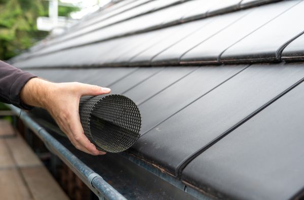 Gutter Mesh Installation in Lewes